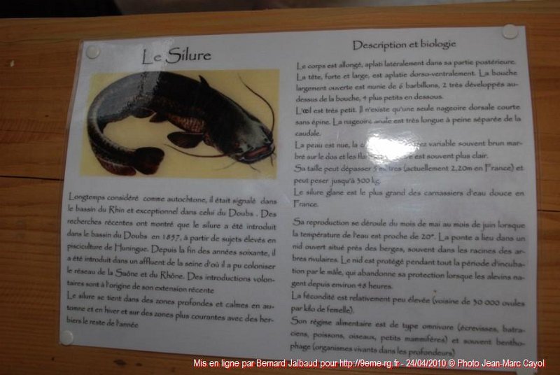 Gens de Garonne (63).JPG